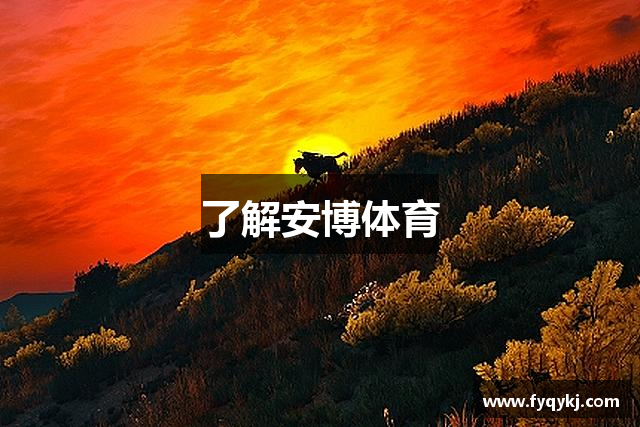 了解安博体育